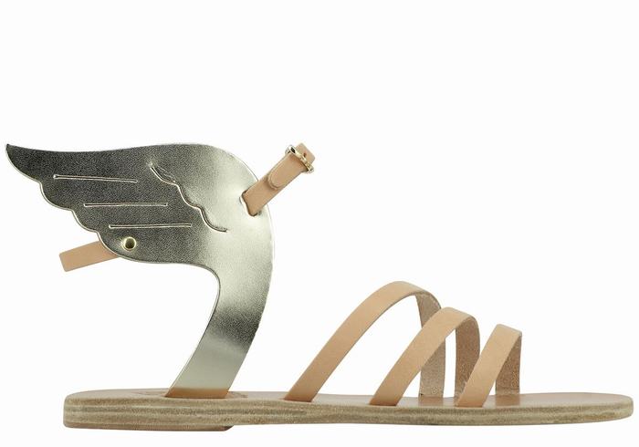 Sandales Bride Cheville Ancient Greek Sandals Ikaria Leather   | OFS-2760813